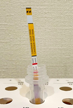 新型コロナウイルス抗原検査