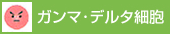 ガンマ・デルタ細胞