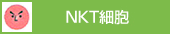 NKT細胞