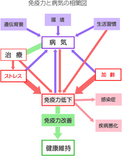 免疫力と病気の相関図