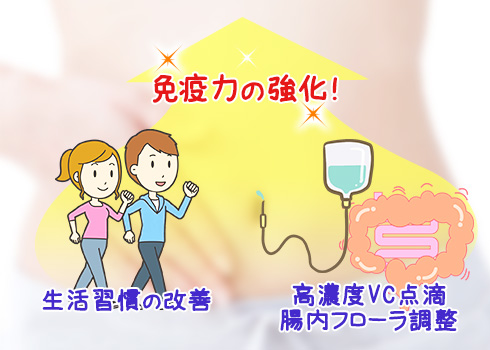 生活習慣の改善と腸内フローラの乱れ改善で免疫力の強化!!