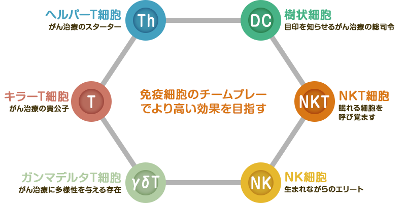 最新レース②種複合型☆ふんわり美人複合型初搭載、更に進化した新世界