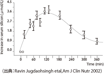 ケイ素の体内動態試験結果