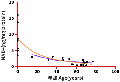 加齢による体内のNAD+レベルの現象